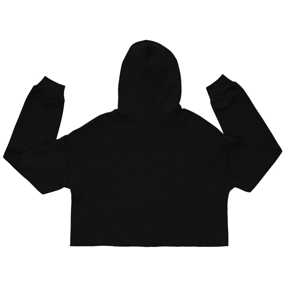 HMMR Crop Hoodie in Black, back view 2
